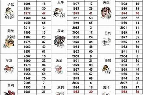 屬豬 年份|屬豬出生年份+2024今年幾多歲？屬豬性格特徵+最新。